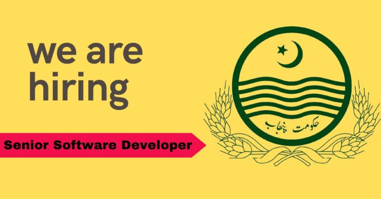 Senior Software Developer